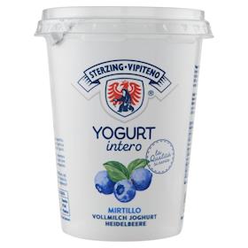 Yogurt Vipiteno Frutta Fragola G 500